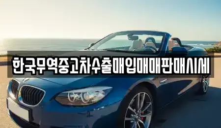 충남 공주시 신관동 중고차매입 전문 한국무역중고차수출매입매매판매시세