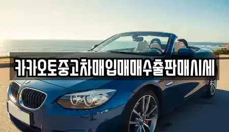 충남 공주시 오곡동 중고차매입 전문 카카오토중고차매입매매수출판매시세