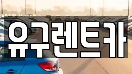 충남 공주시 유구읍 렌트카 전문 유구렌트카