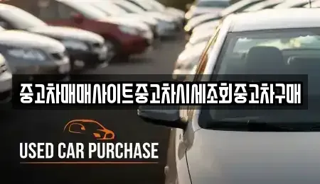 충남 당진시 면천면 중고차 전문 중고차매매사이트중고차시세조회중고차구매