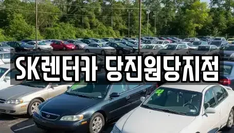 충남 당진시 원당동 렌트카,단기렌트카,장기렌트카,중고차,중고차매매,중고차매입