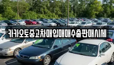 충남 부여군 남면 중고차매매 전문 카카오토중고차매입매매수출판매시세