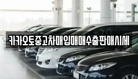 충남 부여군 홍산면 중고차매입 전문 카카오토중고차매입매매수출판매시세