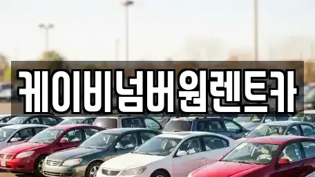 충남 예산군 예산읍 렌트카 전문 케이비넘버원렌트카