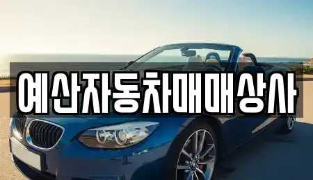 충남 예산군 예산읍 중고차매매 전문 예산자동차매매상사
