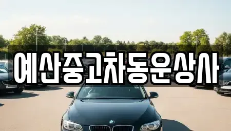 충남 예산군 예산읍 중고차매매 전문 예산중고차동운상사