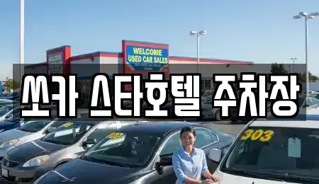 충남 천안시 동남구 대흥동 렌트카 전문 쏘카 스타호텔 주차장