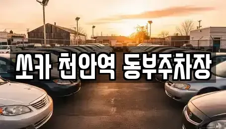 충남 천안시 동남구 대흥동 렌트카 전문 쏘카 천안역 동부주차장