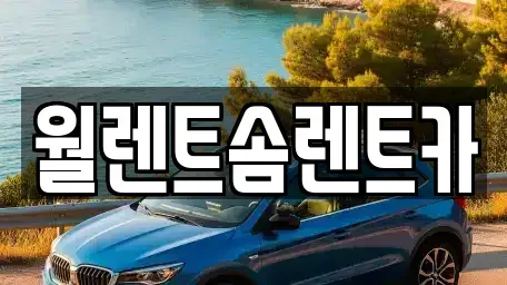 충남 천안시 동남구 대흥동 렌트카 전문 월렌트솜렌트카