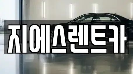 충남 천안시 동남구 대흥동 렌트카 전문 지에스렌트카