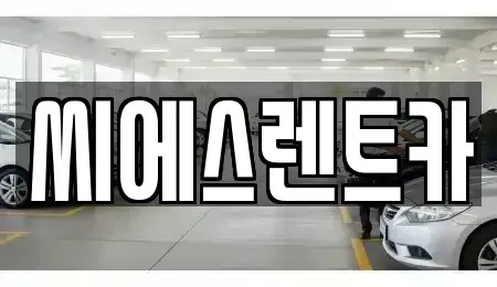 충남 천안시 동남구 청수동 렌트카 전문 씨에스렌트카
