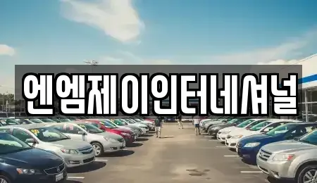 충남 천안시 동남구 청수동 렌트카 전문 엔엠제이인터네셔널