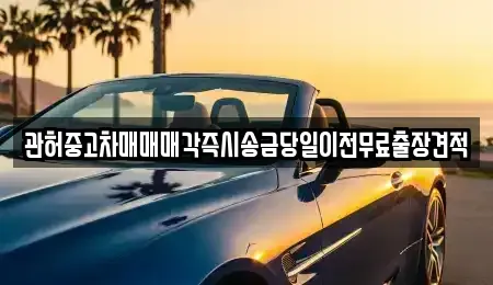 충남 천안시 동남구 청수동 중고차 전문 관허중고차매매매각즉시송금당일이전무료출장견적