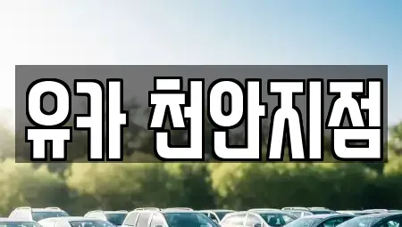 충남 천안시 동남구 청수동 중고차 전문 유카 천안지점