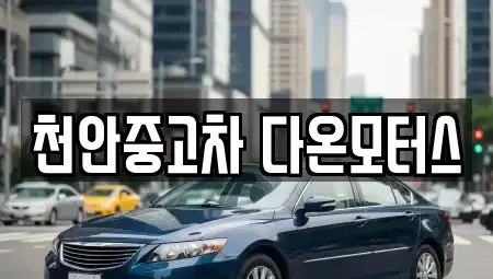 충남 천안시 동남구 청수동 중고차 전문 천안중고차 다온모터스
