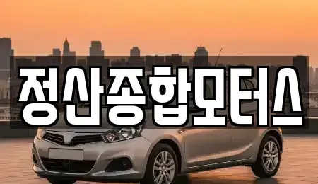 충남 청양군 청남면 중고차 전문 정산종합모터스