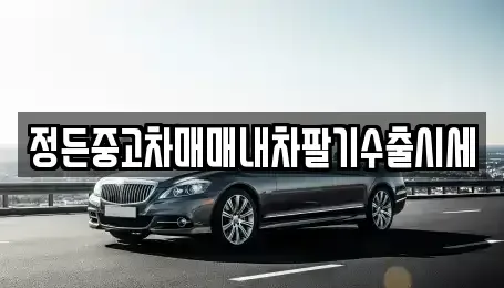 충북 청주시 상당구 명암동 중고차 전문 정든중고차매매내차팔기수출시세