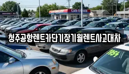 충북 청주시 상당구 북문로1가 단기렌트카 전문 청주공항렌트카단기장기월렌트사고대차