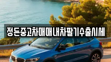 충북 청주시 상당구 북문로1가 중고차매매 전문 정든중고차매매내차팔기수출시세
