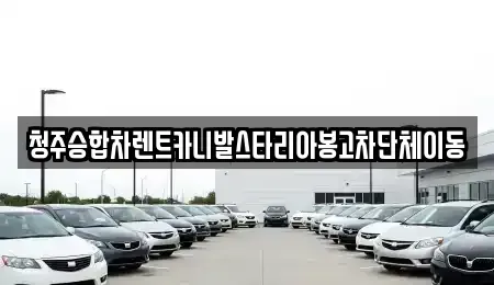 충북 청주시 상당구 영동 렌트카 전문 청주승합차렌트카니발스타리아봉고차단체이동