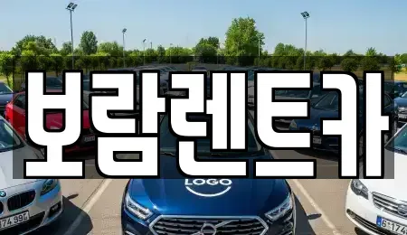 충북 충주시 목행동 렌트카 전문 보람렌트카