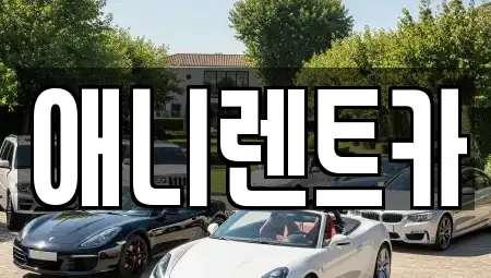 충북 충주시 목행동 렌트카 전문 애니렌트카