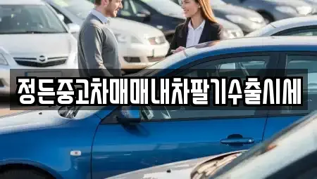 충북 충주시 용관동 중고차 전문 정든중고차매매내차팔기수출시세