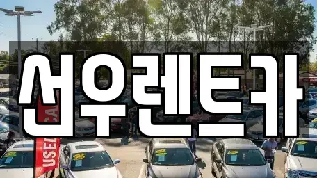 충청남도 금산군 금성면 렌트카 전문 선우렌트카