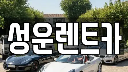 충청남도 금산군 금성면 렌트카 전문 성운렌트카
