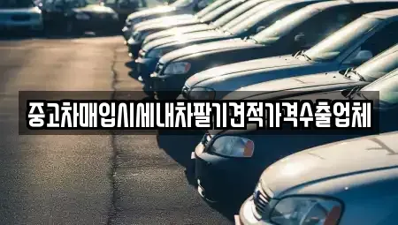 충청남도 논산시 내동 중고차 전문 중고차매입시세내차팔기견적가격수출업체