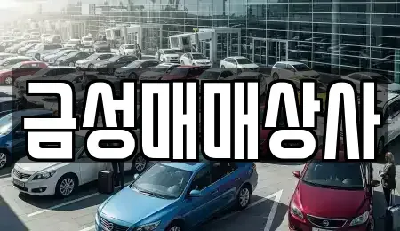 충청남도 논산시 등화동 중고차매매 전문 금성매매상사