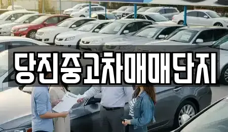 충청남도 당진시 고대면 중고차매매 전문 당진중고차매매단지
