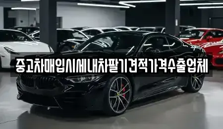 충청남도 당진시 고대면 중고차매입 전문 중고차매입시세내차팔기견적가격수출업체