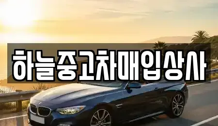 충청남도 당진시 고대면 중고차매입 전문 하늘중고차매입상사