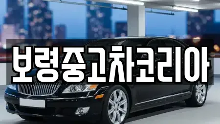 충청남도 보령시 대천동 중고차 전문 보령중고차코리아