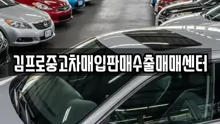 충청남도 보령시 대천동 중고차매입 전문 김프로중고차매입판매수출매매센터