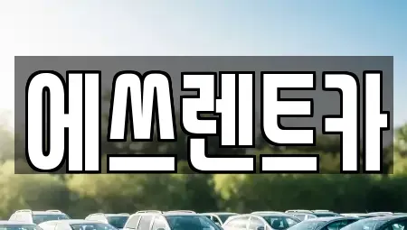 충청남도 보령시 동대동 렌트카 전문 에쓰렌트카