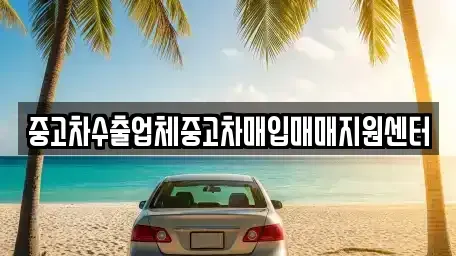 충청남도 보령시 동대동 중고차 전문 중고차수출업체중고차매입매매지원센터
