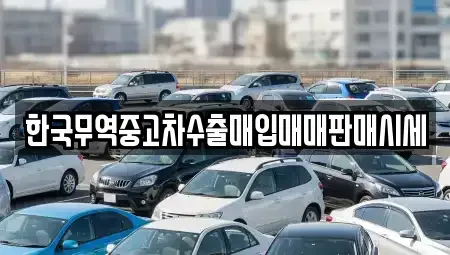 충청남도 보령시 동대동 중고차 전문 한국무역중고차수출매입매매판매시세