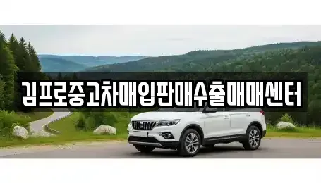 충청남도 보령시 동대동 중고차매입 전문 김프로중고차매입판매수출매매센터