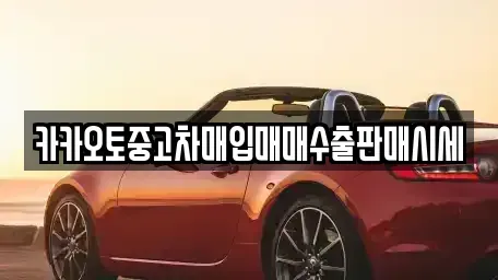 충청남도 보령시 동대동 중고차매입 전문 카카오토중고차매입매매수출판매시세