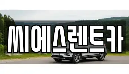 충청남도 예산군 렌트카 전문 씨에스렌트카