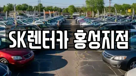 충청남도 예산군 장기렌트카 전문 SK렌터카 홍성지점