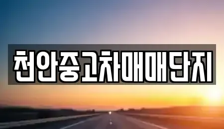 충청남도 천안시 동남구 영성동 중고차매매 전문 천안중고차매매단지