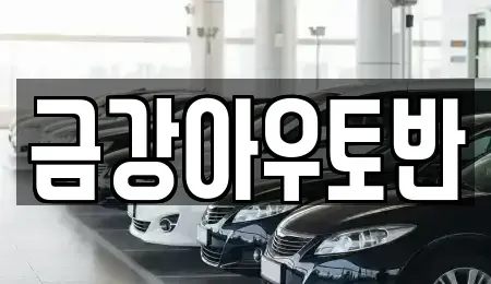 충청북도 영동군 황간면 중고차 전문 금강아우토반