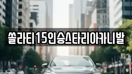 충청북도 제천시 금성면 렌트카 전문 쏠라티15인승스타리아카니발