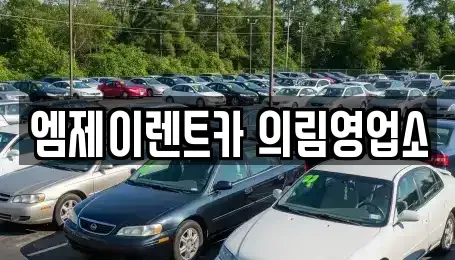 충청북도 제천시 신월동 렌트카 전문 엠제이렌트카 의림영업소