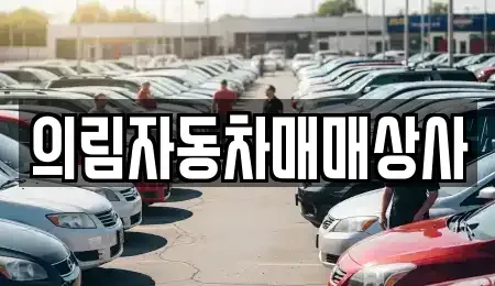 충청북도 제천시 신월동 중고차 전문 의림자동차매매상사