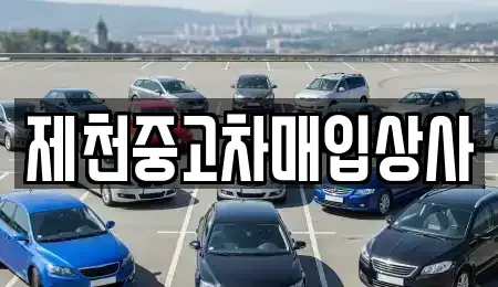 충청북도 제천시 신월동 중고차매입 전문 제천중고차매입상사