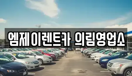 충청북도 제천시 의림동 렌트카 전문 엠제이렌트카 의림영업소